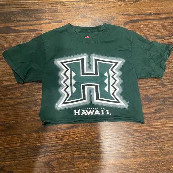 University of Hawaii cropped T-shirt, size small - Picture 1 of 1